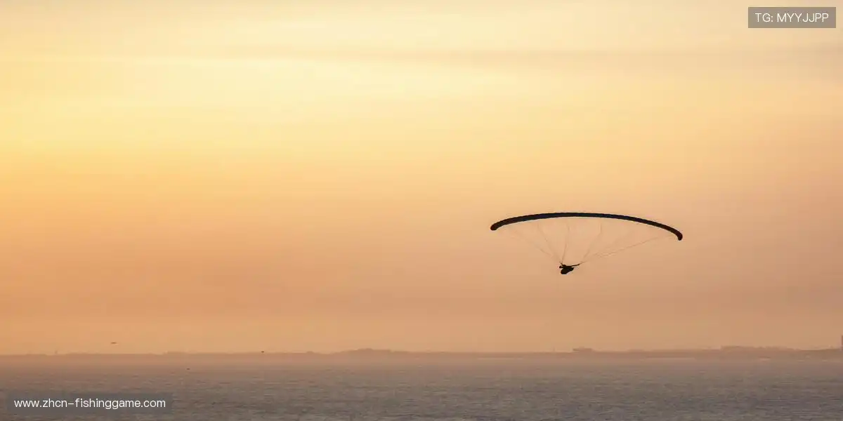 🏆 每一场赛事，都是热血的勋章！